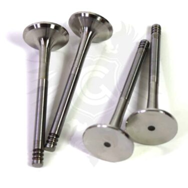 Exhaust Valve Set, ALH AHU 1Z