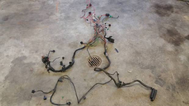 12791080_609963415818284_1138458661189624533_n