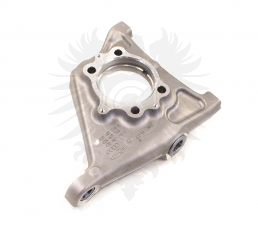 Spindle, Audi R8 Front Left 2008-2009 (Genuine)